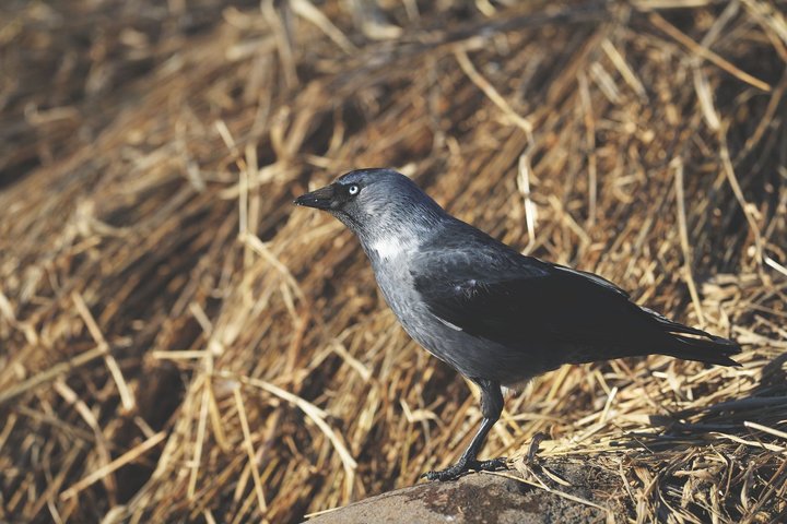 KMK_4990.jpg