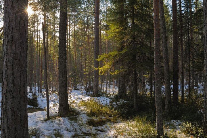 KMK_0192.jpg