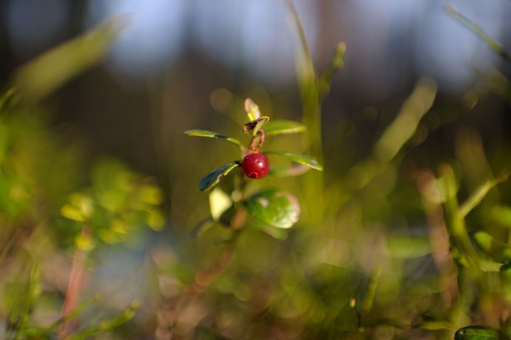 KMK_0259.jpg