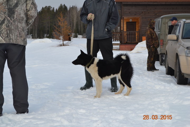 DSC_0752.JPG