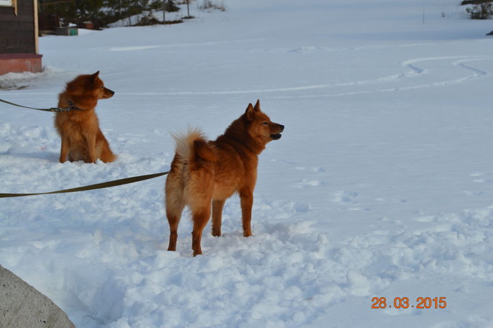 DSC_0758.JPG