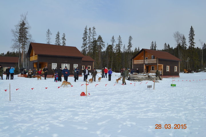 DSC_0782.JPG