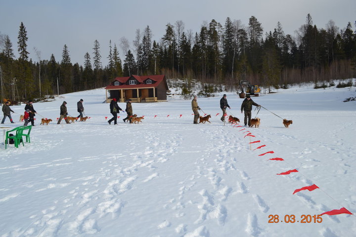DSC_0787.JPG