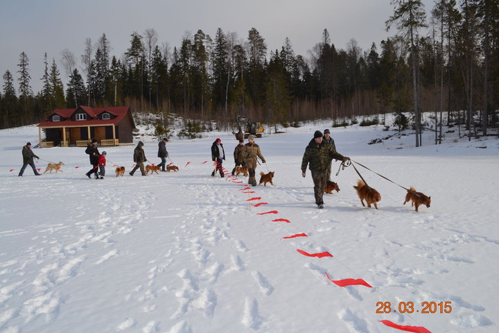 DSC_0788.JPG