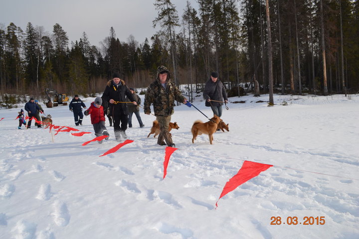 DSC_0792.JPG