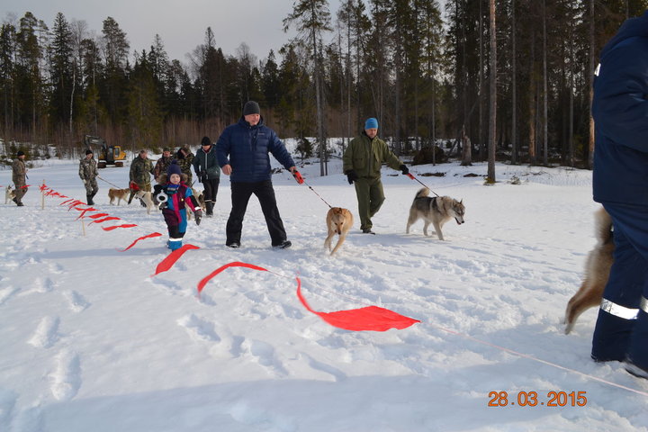 DSC_0795.JPG