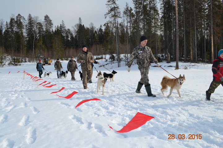 DSC_0797.JPG