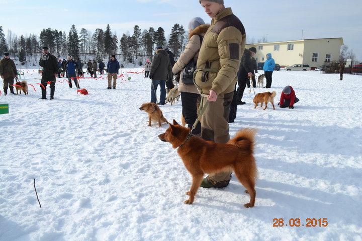 DSC_0819.JPG