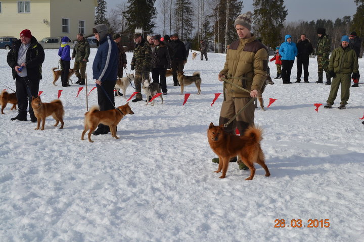 DSC_0825.JPG