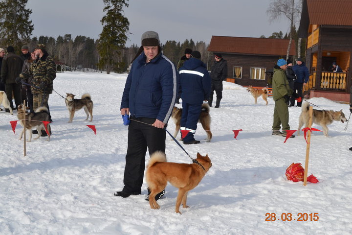 DSC_0830.JPG