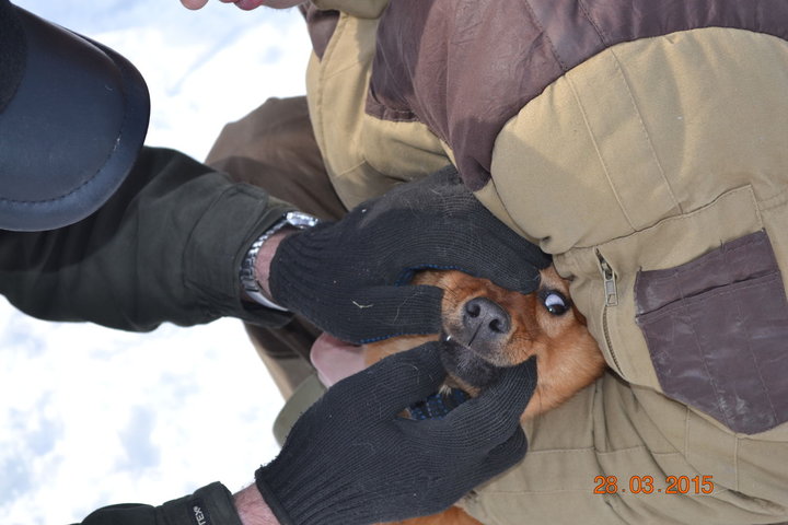 DSC_0847.JPG