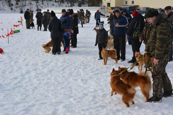 DSC_0023.JPG