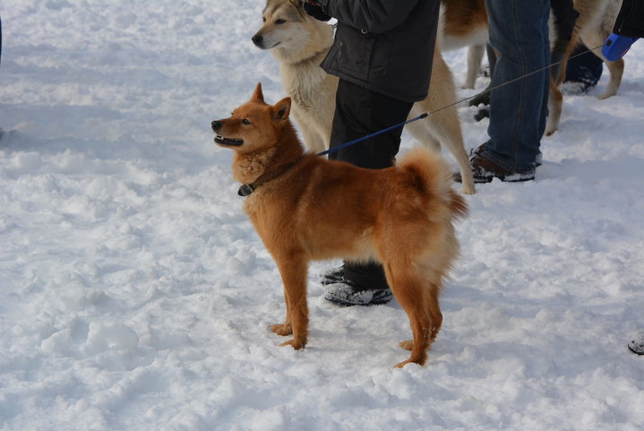 DSC_0031.JPG