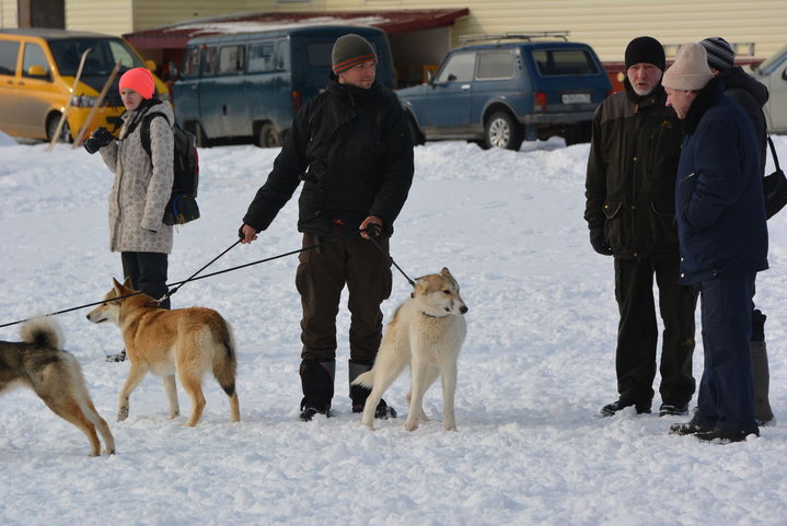 DSC_0033.JPG