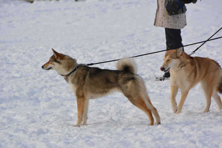 DSC_0034.JPG