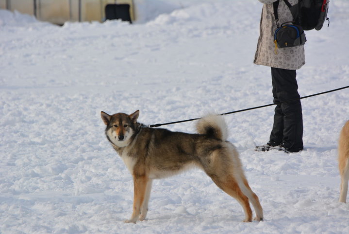 DSC_0035.JPG