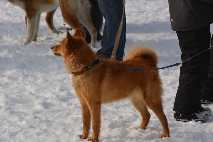 DSC_0044.JPG