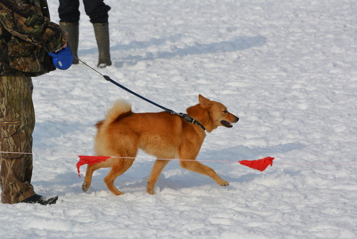 DSC_0052.JPG