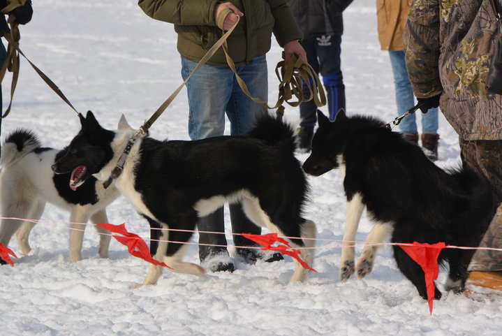 DSC_0064.JPG