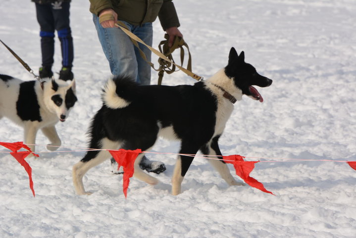 DSC_0065.JPG