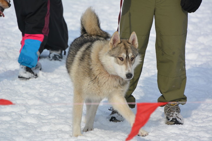 DSC_0070.JPG