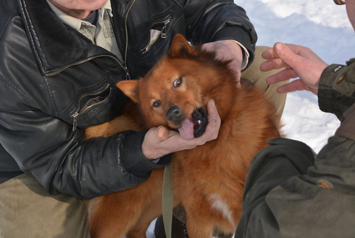 DSC_0103.JPG