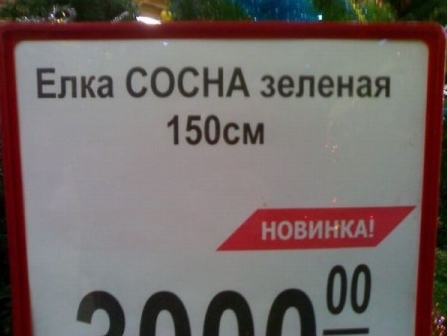 010.jpg