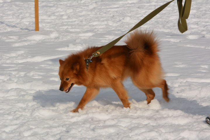 DSC_0114.JPG