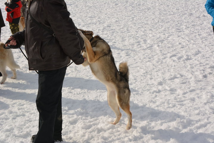 DSC_0125.JPG