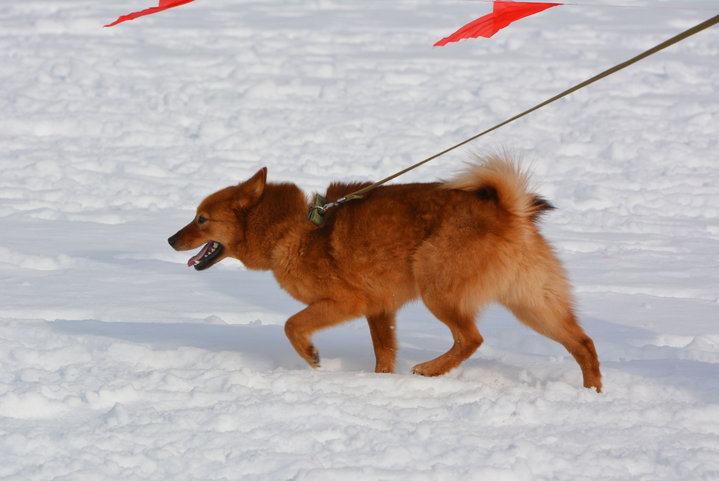 DSC_0138.JPG
