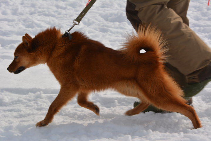 DSC_0147.JPG