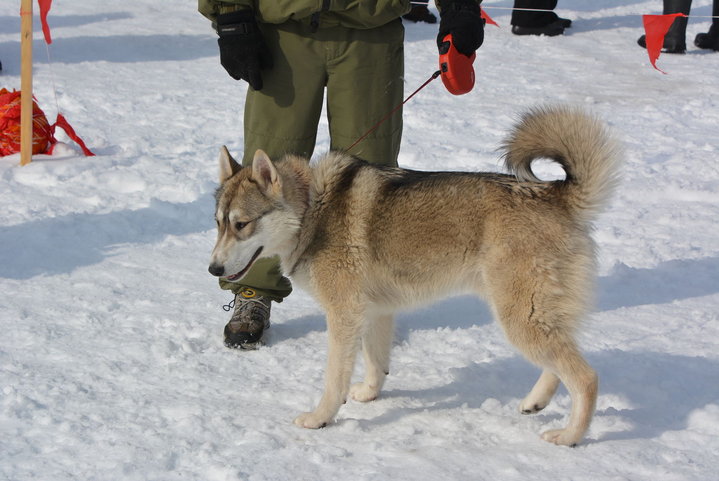 DSC_0172.JPG
