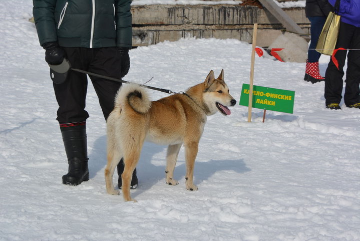 DSC_0173.JPG