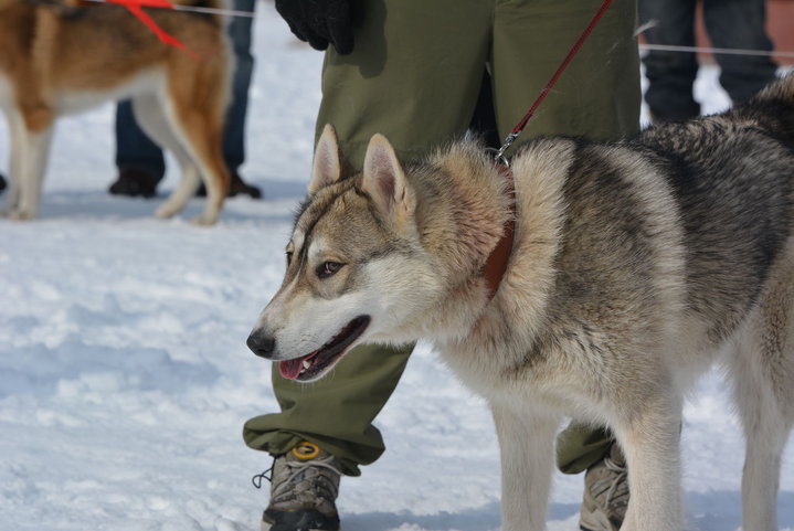 DSC_0178.JPG