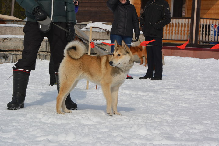 DSC_0181.JPG