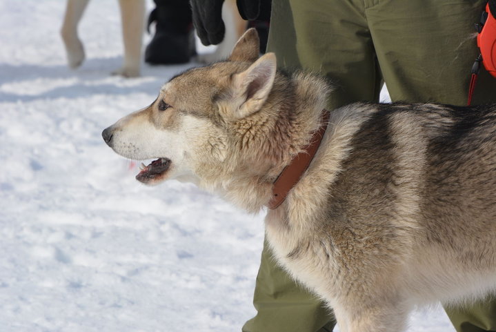 DSC_0185.JPG