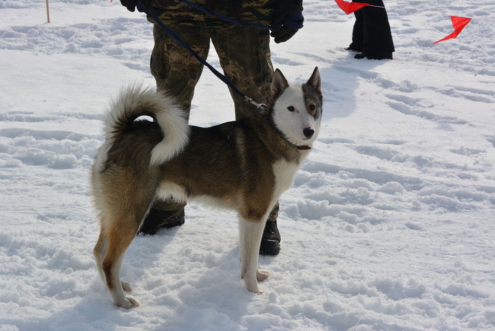 DSC_0230.JPG