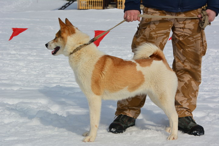 DSC_0245.JPG