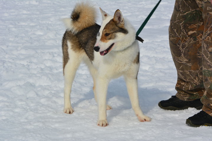 DSC_0256.JPG