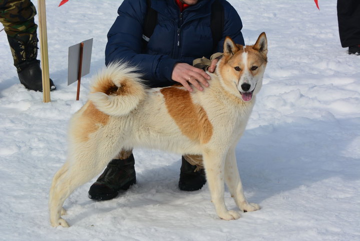 DSC_0260.JPG