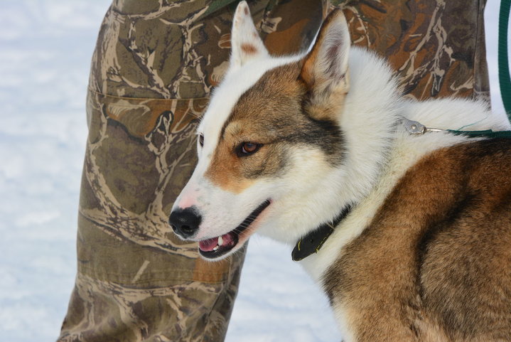 DSC_0264.JPG
