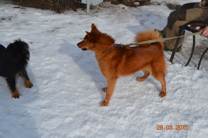 DSC_0889.JPG