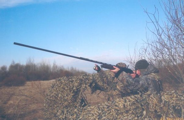 XZBIzrf2YLw.jpg