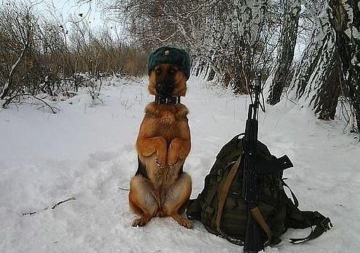 граница.jpg