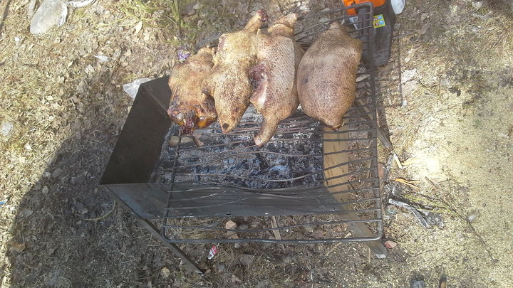 20140508_165414.jpg