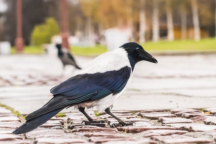 xXvXD1B18xE.jpg (74.02 КБ) 3783 просмотра xXvXD1B18xE.jpg