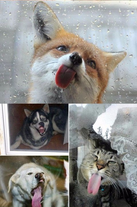 DRXkSZqiGUk.jpg