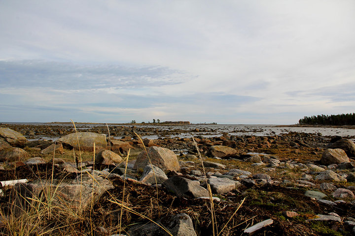 IMG_4854.jpg