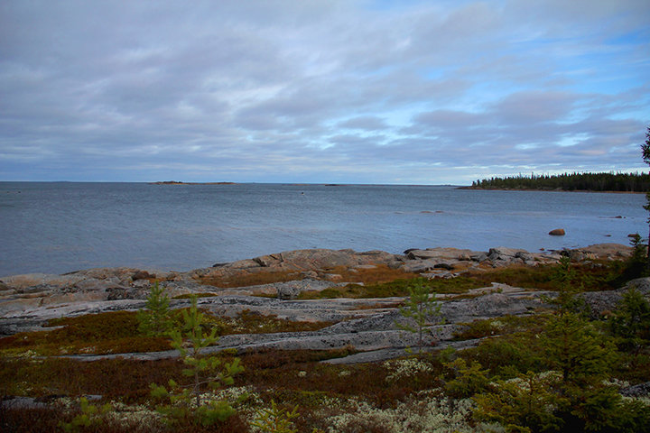IMG_9158.jpg