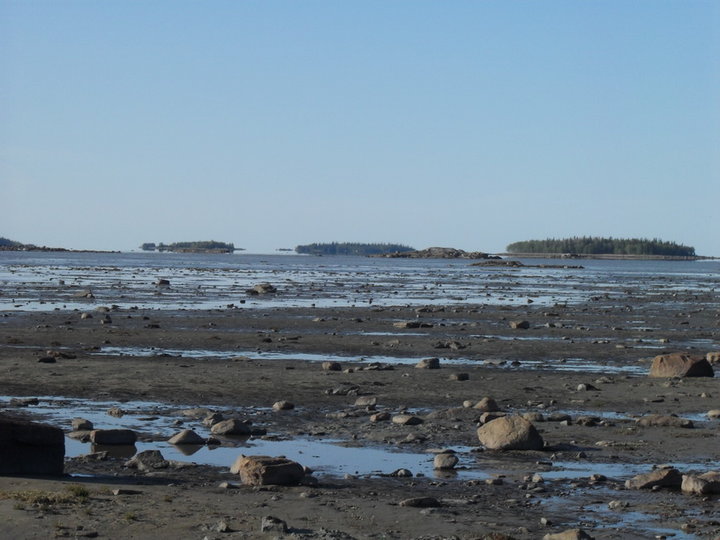 SDC11121.jpg